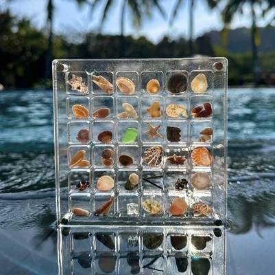 kopen Nieuw ontwerp Magnetische zeeschel specimens Acryl display box voor juwelen opslag box online manufacture